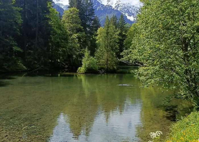 Des Gaillands - Renove - Balcon Avec Vues Apartment Chamonix