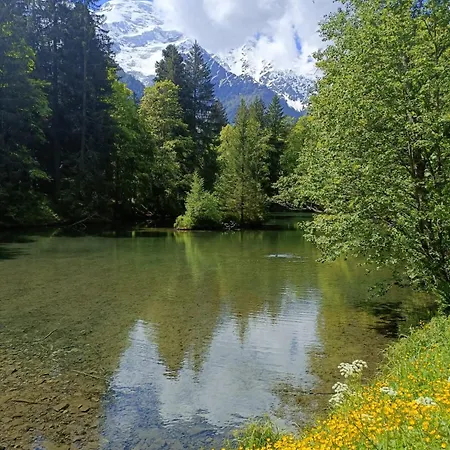 Des Gaillands - Renove - Balcon Avec Vues Appartamento Chamonix